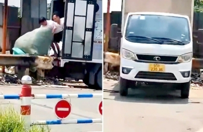 Nghị định 168 - Lỗi trừ 2 điểm GPLX ô tô: Đổ trái phép rác đoạn đường trong đô thị